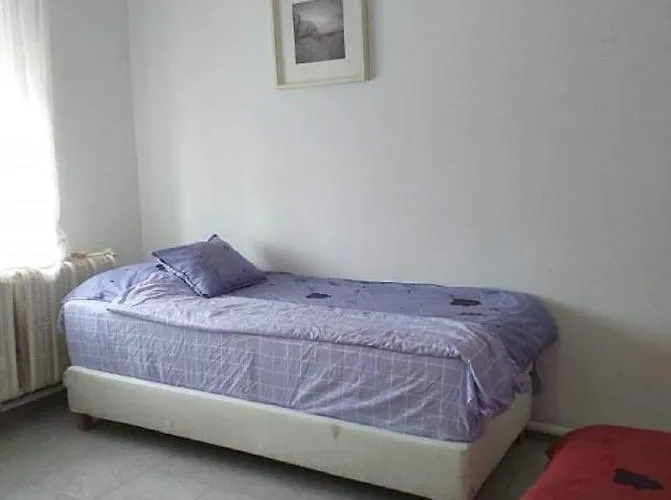 Πανσιόν Malomtavi Vendeghaz